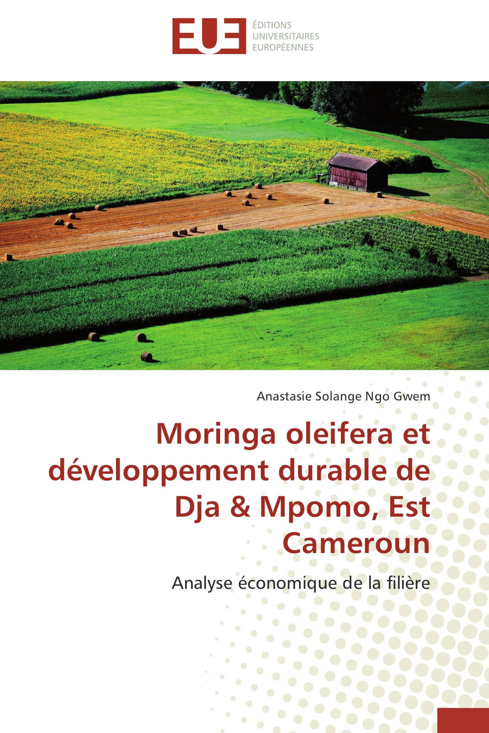 Moringa-oleifera-et-développement-durable-de-Dja-&amp;-Mpomo-Est-Cameroun
